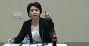 “ვაქვეყნებ წერილს, რომელიც სულისშემძვრელია” – ეკა ბესელია