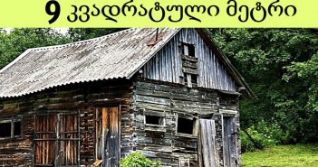 “მეზობლები დასცინოდნენ ამ სახლის მეპატრონეს..” – ნახეთ იქამდე სანამ შიგნით არ შევიდნენ